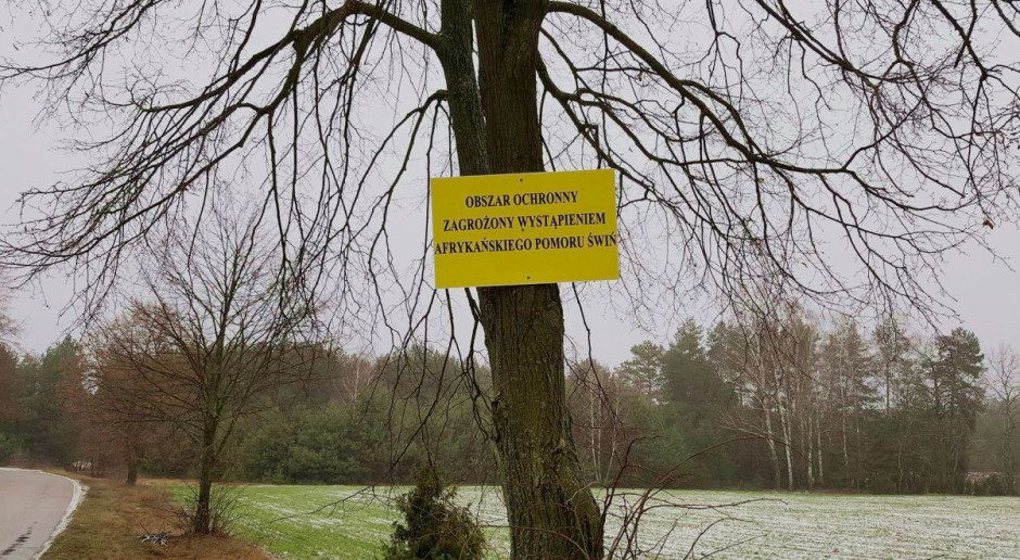 Got. A. Groszyk Zostały zniesione restrykcje w powiecie siedleckim dot. ASF
