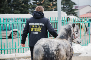 Sąd: Zakaz manifestacji na jarmarku końskim zgodny z prawem