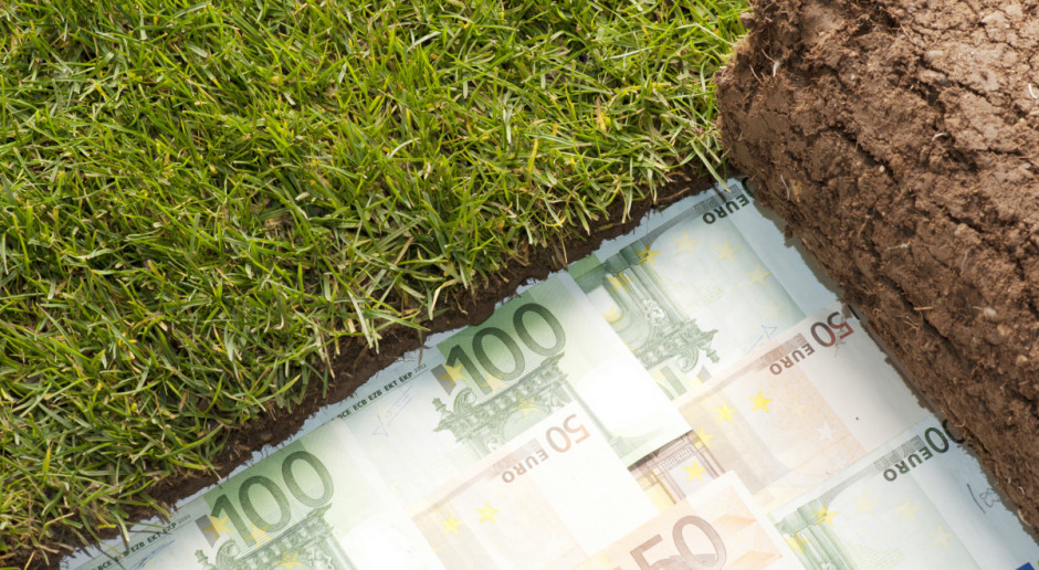 Fot. Shutterstock Macron: Będą ograniczenia zakupu gruntów rolnych przez cudzoziemców