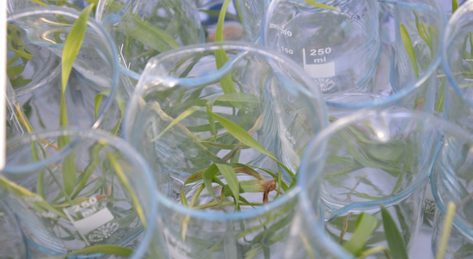 Corteva Agriscience pragnie stać się wiodącą firmą w branży rolniczej; Fot. Katarzyna Szulc Corteva Agriscience – nowy pion rolniczy DowDuPont
