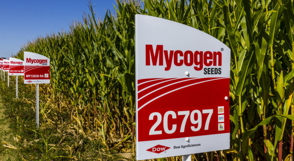 Fot. Jonathan Weiss / Shutterstock.com DowDuPont ogłasza nazwy trzech niezależnych przedsiębiorstw w związku z planowanym podziałem spółki
