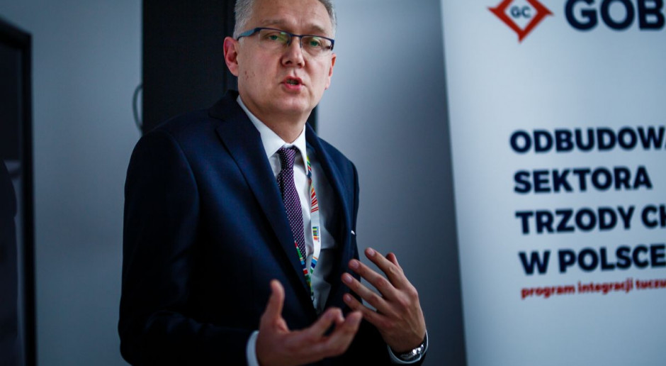 Jacek Jagiełłowicz, Gobarto 500, fot. materiały prasowe Ograniczanie produkcji świń w Polsce jest bardzo szkodliwe