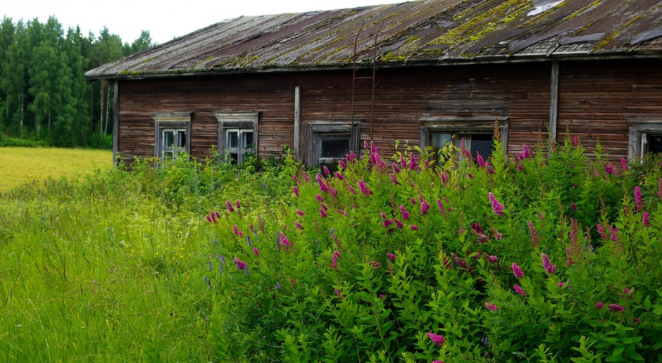 Fot.pixabay.com Finlandia: Przyspieszyły zmiany strukturalne w rolnictwie