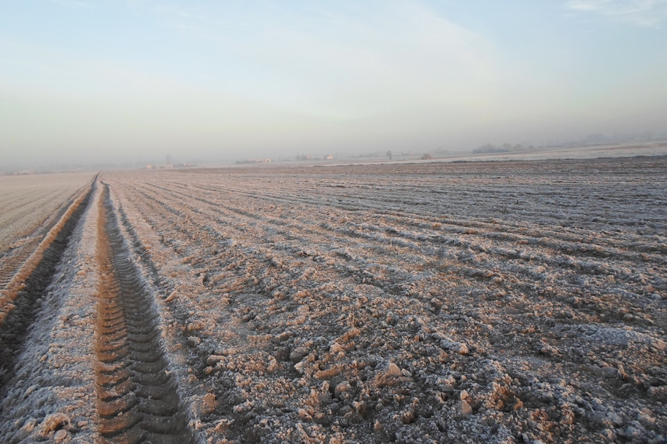 Obecne warunki polowe kategorycznie zabraniają wywozu nawozów naturalnych na pola; Fot. A. Kobus
