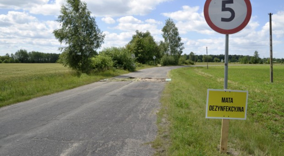 Mata dezynfekcyjna w okolicy Mariampola w pow. bialskim, czerwiec 2017, fot. MP Maty bioasekuracyjne należy utrzymywać także zimą
