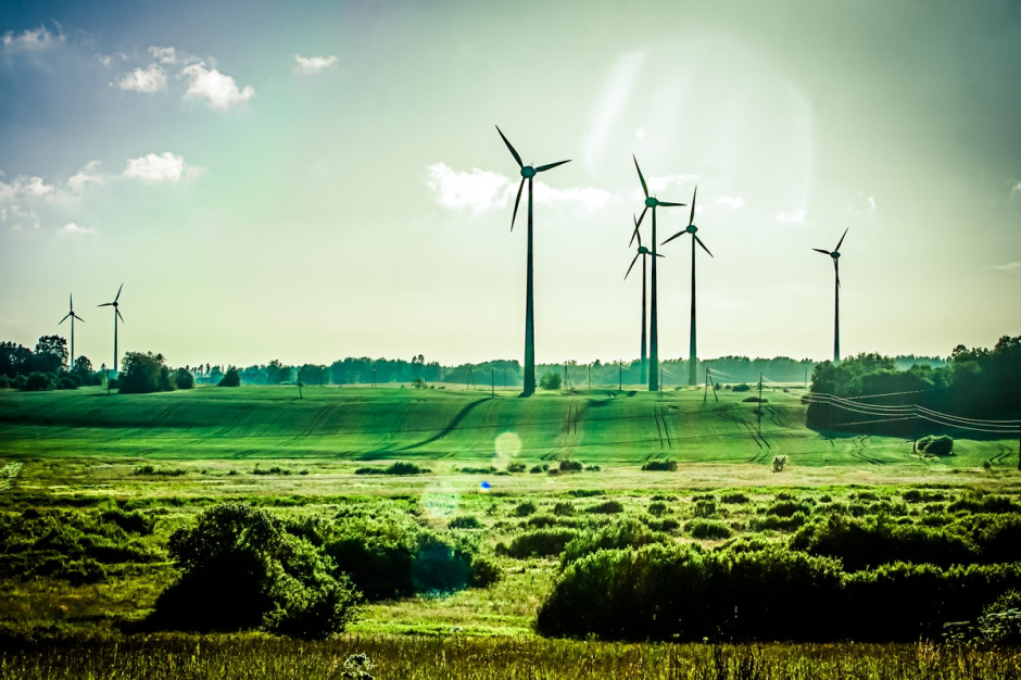 Jak podano w komunikacie, nowe regulacje przyczynią się do efektywnego wykorzystania odnawialnych źródeł energii (OZE), a także zwiększonego użycia do celów energetycznych produktów ubocznych z rolnictwa i przemysłu wykorzystującego surowce rolnicze, fot. Shutterstock