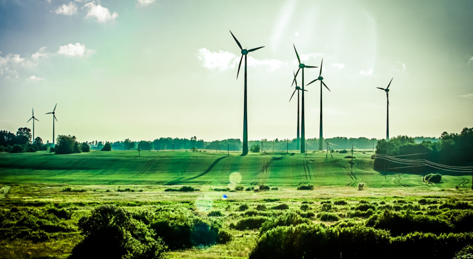 Jak podano w komunikacie, nowe regulacje przyczynią się do efektywnego wykorzystania odnawialnych źródeł energii (OZE), a także zwiększonego użycia do celów energetycznych produktów ubocznych z rolnictwa i przemysłu wykorzystującego surowce rolnicze, fot. Shutterstock Rząd przyjął nowelizację ustawy o OZE