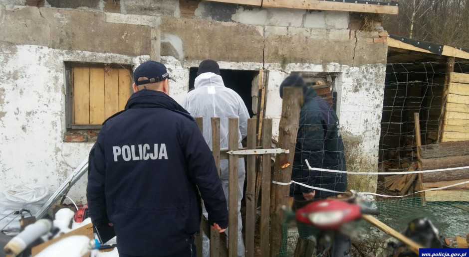 fot. wm.policja.gov.pl Nielegalnie utrzymywane świnie w jednym z gospodarstw