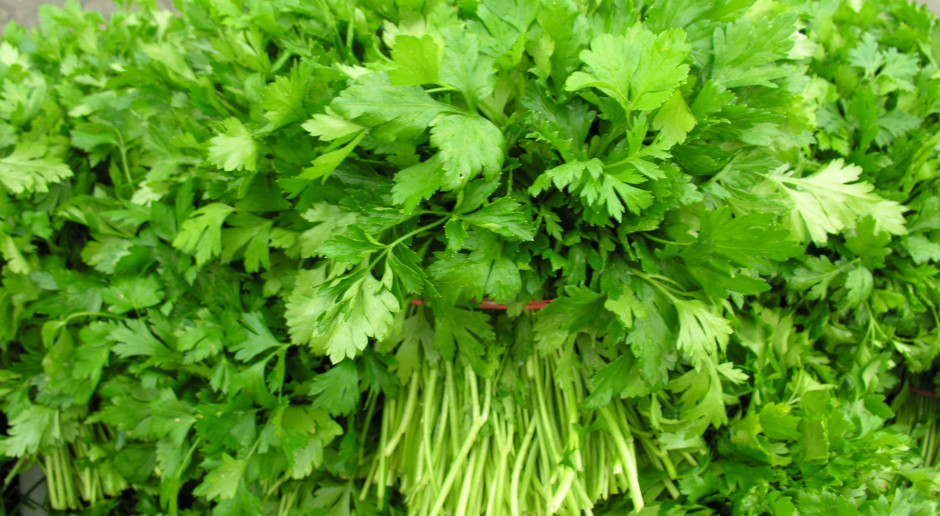 Na rynku hurtowym w Broniszach z krajowych wczesnych warzyw, produkowanych pod osłonami, oferowane są ogórki, pomidory, szczypiorek, natka pietruszki, sałata, fot. www.bronisze.com.pl Bronisze: Coraz więcej nowalijek w sprzedaży