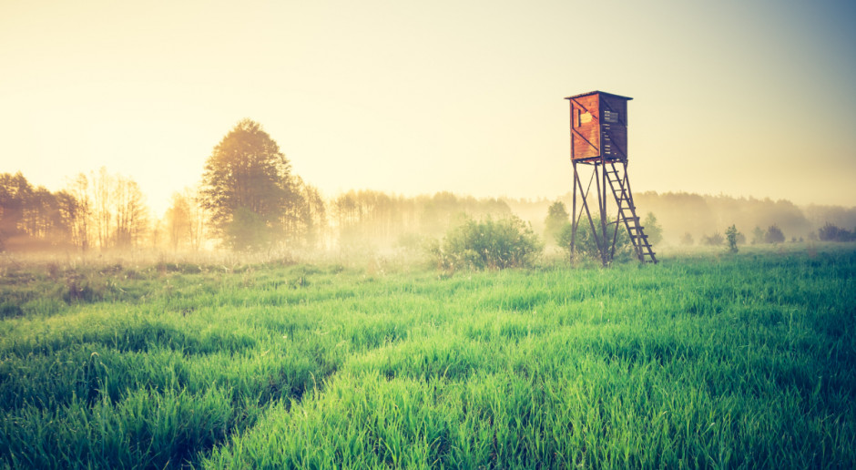 Fot. Shutterstock Sejmowe komisje rekomendują przyjęcie senackich poprawek do Prawa łowieckiego