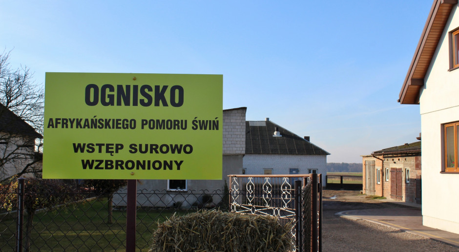 Fot. G. Tomczyk PO chce powołania komisji ds. monitorowania walki z ASF