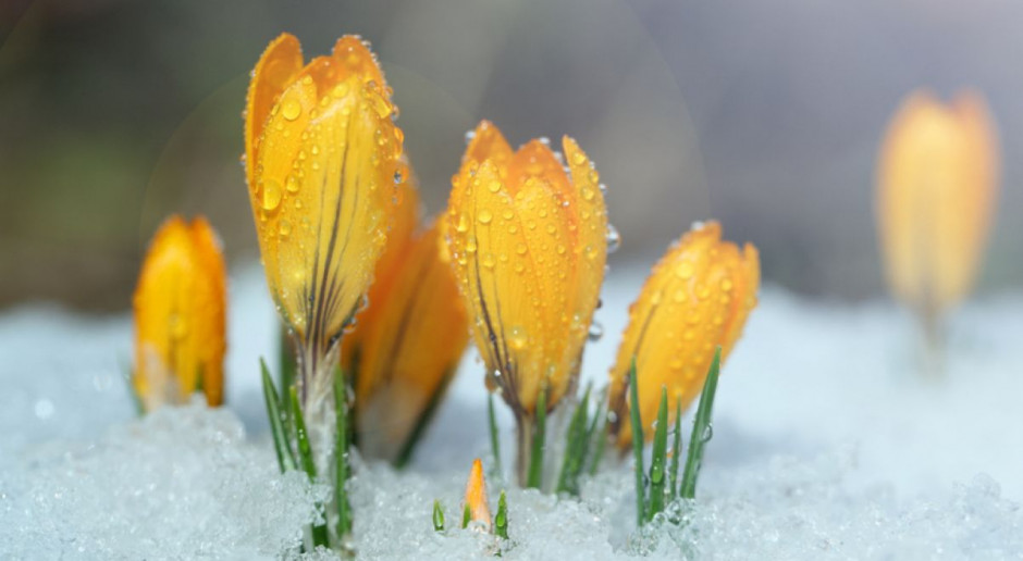 Fot. Shutterstock Zmienna pogoda w Święta Wielkanocne