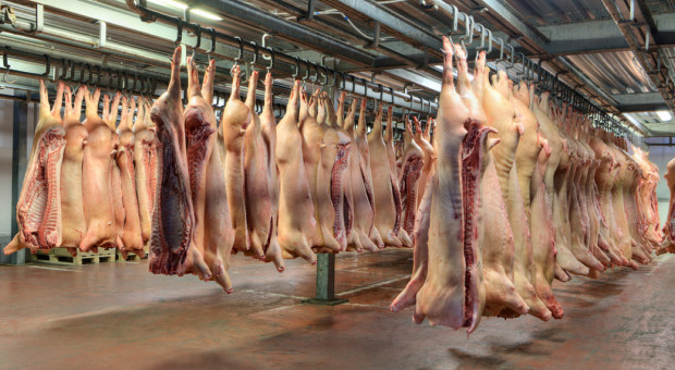 1 miliard dolarów dla amerykańskiego przemysłu mięsnego