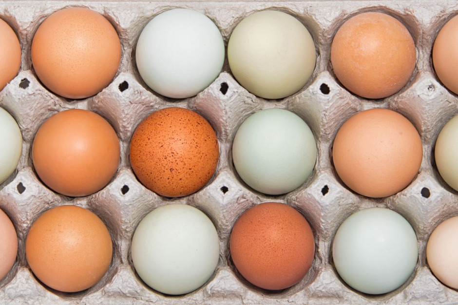 Mitem jest, że jakość jajek zależy wyłącznie od systemu chowu; Fot. Shutterstock