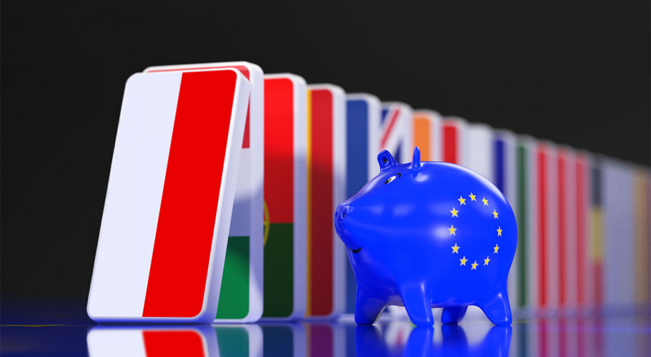 Fot. Shutterstock Czy ASF może pominąć Wielkopolskę i wcześniej pojawić się w Niemczech?