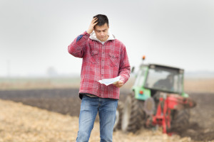 Rosja: Wzrosło kredytowanie prac sezonowych w rolnictwie 