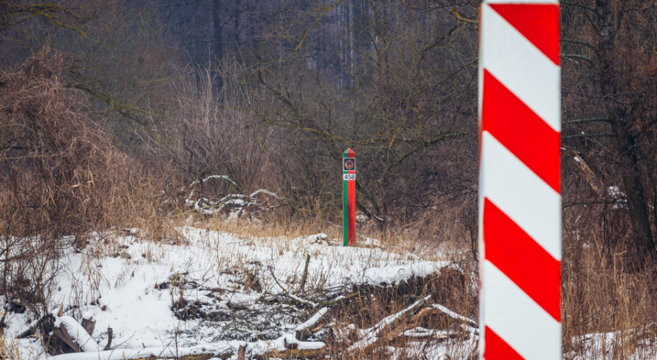 Zdaniem Izb Rolniczych budowa zapory wzdłuż granicy wydaje się być inwestycją konieczną, chociaż zbyt późno podjętą; Fot. Shutterstock Izby Rolnicze popierają budowę ogrodzenia na granicy przed dzikami