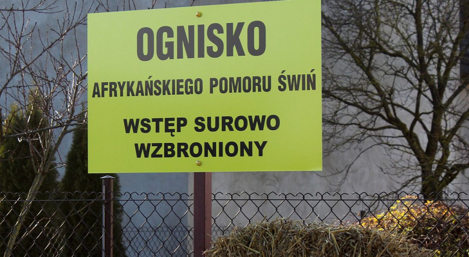 Producenci ze stref objętych ASF są zadowoleni z podjęcia rozmów. foto: GT Producenci trzody ze stref dotkniętych ASF po rozmowach w resorcie rolnictwa