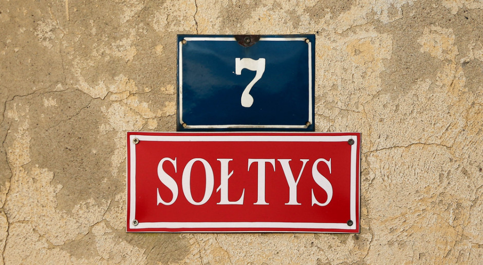 Fot. Shutterstock PSL źle ocenia szacowanie odszkodowania za szkody łowieckie przez sołtysów
