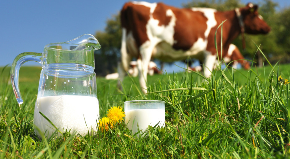 Fot. Shutterstock Niemcy: Stabilne ceny mleka ekologicznego