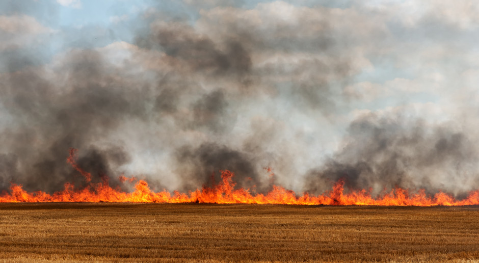Fot. Shutterstock ARiMR ostrzega przed wypalaniem traw, grożą kary i cofnięcie dopłat