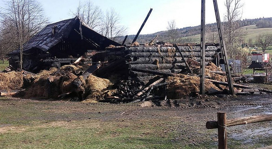 Drewniany budynek spłonął doszczętnie. Foto: OSP Uście Gorlickie Pożar gospodarstwa w Małopolsce. Bydło uratowane, ranny gospodarz