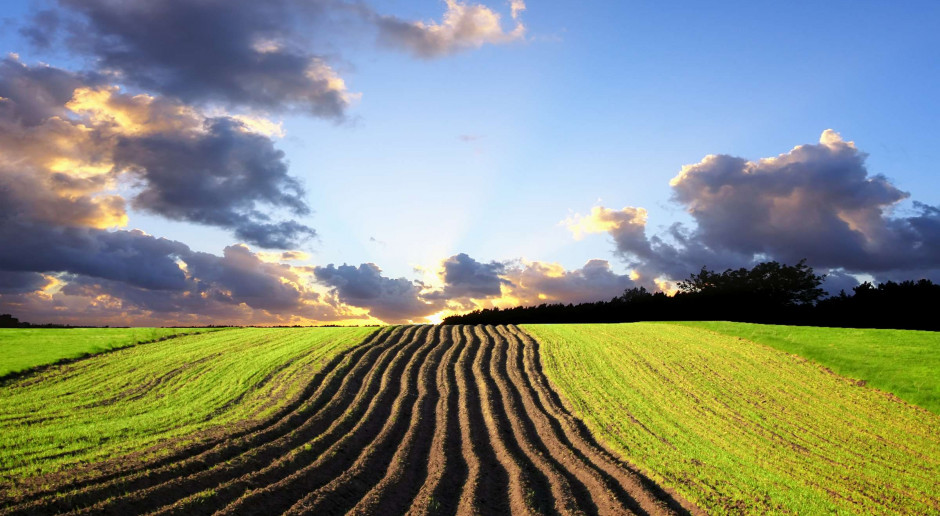 Fot. Shutterstock BZ WBK: Mniej ograniczeń w obrocie ziemią rolną usprawni transakcje