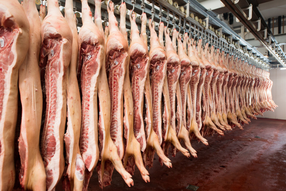 Spadła liczba ubojów świń w krajowych rzeźniach Fot.Shutterstock