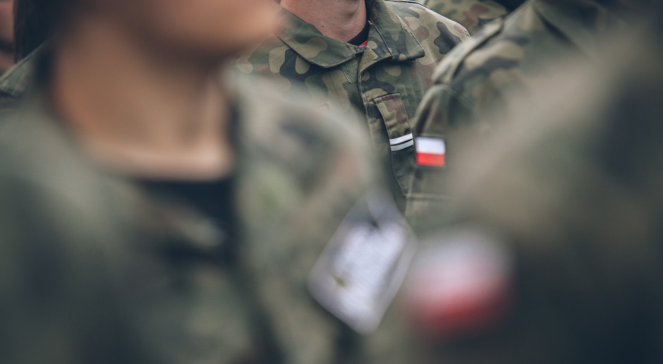 Fot. Pixabay Żołnierze szukają padłych dzików na Suwalszczyźnie