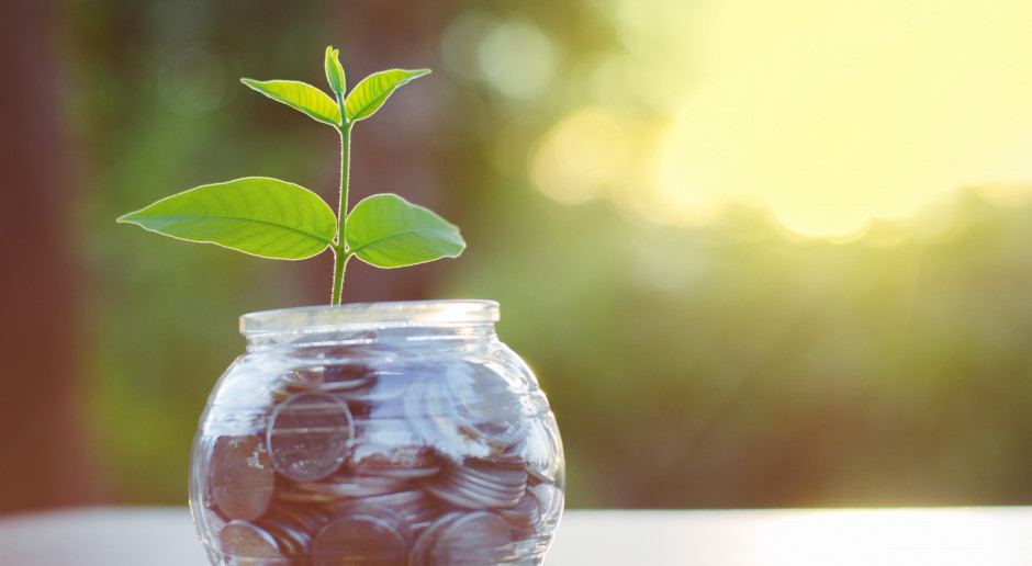 Fot. Shutterstock ARiMR: Na półmetku nabór wniosków o dopłaty bezpośrednie za 2018 r.