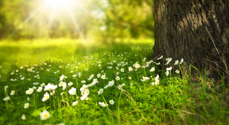 Fot. pixabay Prognoza pogody na 19 i 20 kwietnia
