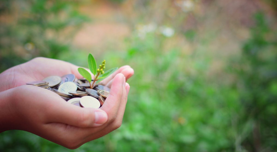 fot. Shutterstock Kiedy będzie rozporządzenie dotyczące „Restrukturyzacji małych gospodarstw”?
