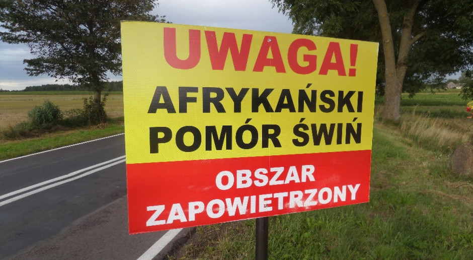 Fot. K.Hołownia Polska niechlubnym liderem pod względem liczby przypadków ASF
