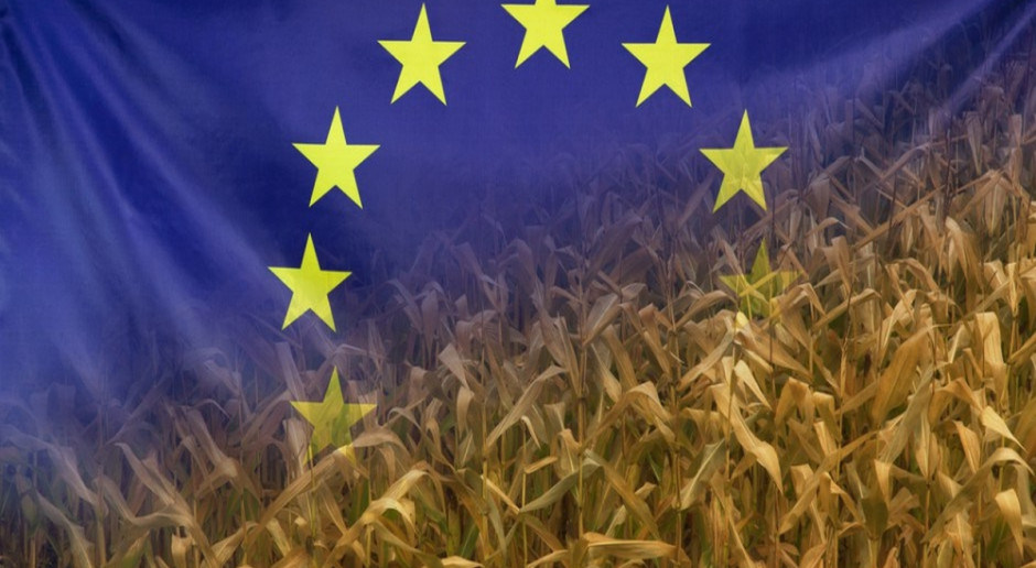 Fot. Shutterstock KE: Maksymalnie 60 tys. euro płatności bezpośrednich