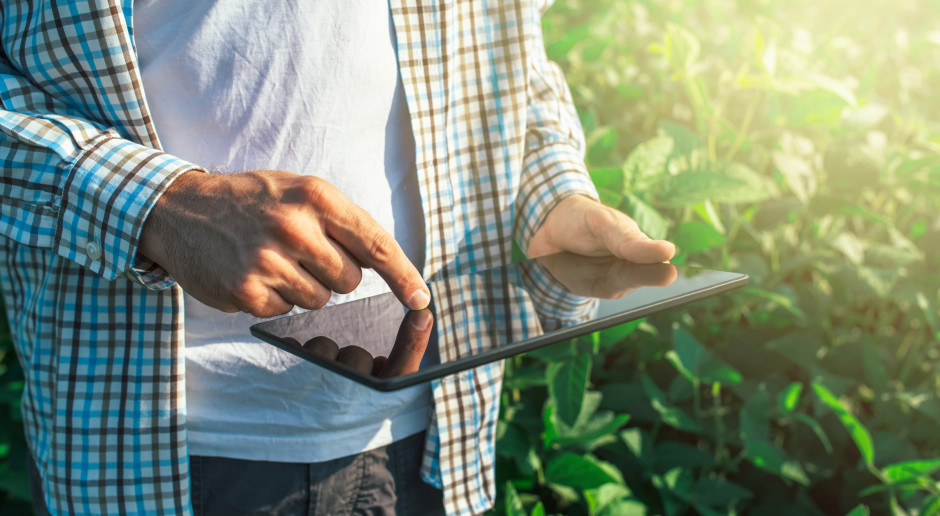 Fot. Shutterstock Kiedy działa aplikacja eWniosekPlus?