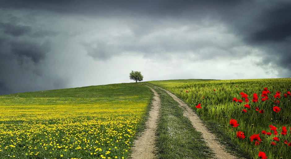 Fot. pixabay Prognoza pogody na 30 kwietnia i 1 maja