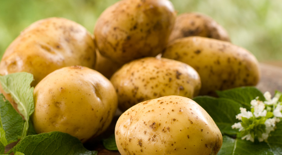 Fot. Shutterstock Jurgiel: Ziemniaki będą miały oznaczenie kraju pochodzenia