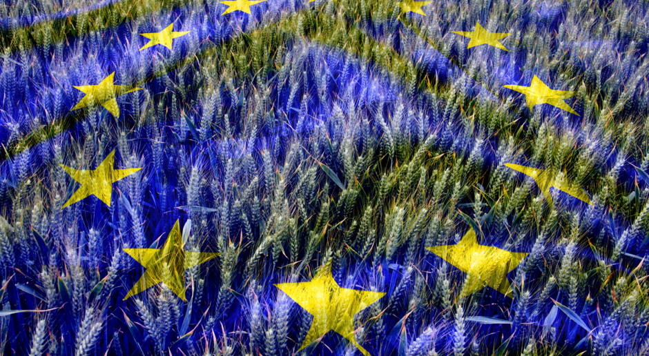 Fot. Shutterstock Polscy rolnicy przeciw zmniejszeniu wydatków na WPR w budżecie UE