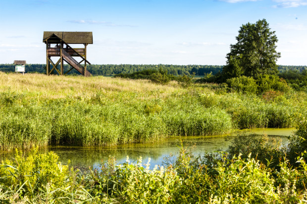 Fot. Shutterstock.com NIK: Niskie wykorzystanie środków z wojewódzkich funduszy ochrony środowiska