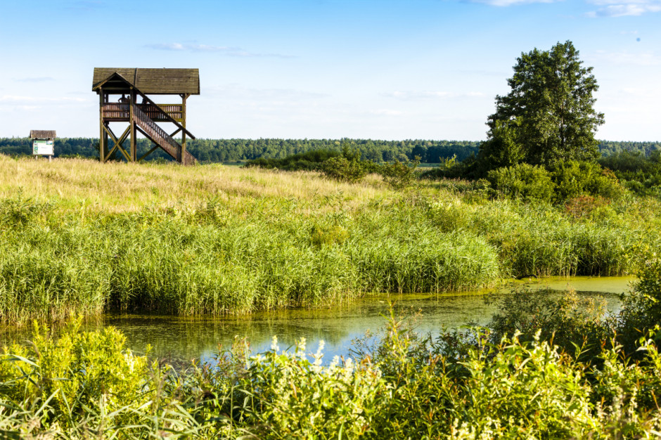 W tym roku w kraju ze wsparcia Lasów Państwowych, które wynosi 33,8 mln zł skorzysta 21 z 23 polskich parków narodowych, fot. Shutterstock