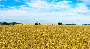Ukraina: parlament przyjął w pierwszym czytaniu ustawę o obrocie ziemią rolną