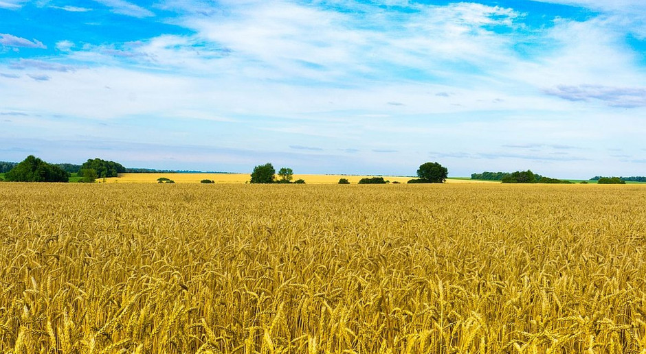 fot. pixabay.com Ukraina: parlament przyjął w pierwszym czytaniu ustawę o obrocie ziemią rolną