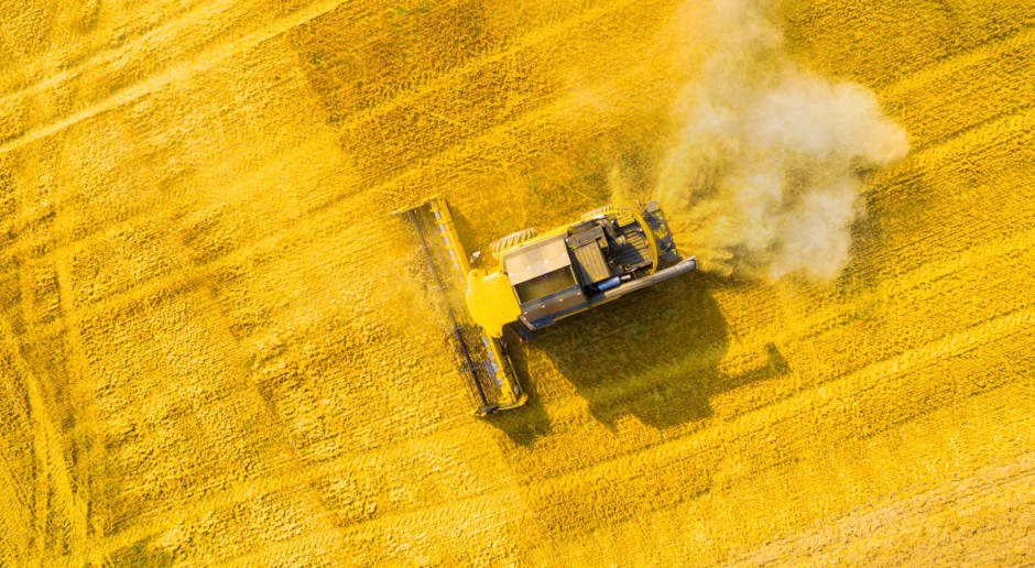 Rzepak na paryskiej giełdzie zyskał 0,1 proc. i na koniec dnia kosztował 352,75 euro/t; Fot. Shutterstock Nieznaczny wzrost cen oleistych