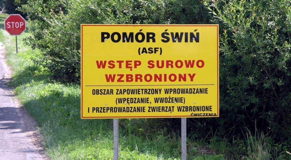 Na ASF byliśmy tak przygotowani, jak mogliśmy być - zapewnia GLW z 2014 r. Janusz Związek. Sposób postępowania wobec ASF w Polsce w 2014 roku nie był ani błędny, ani narzucony?