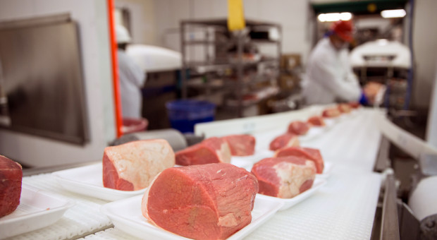 Czy strategia "od pola do stołu" zaszkodzi branży mięsnej?