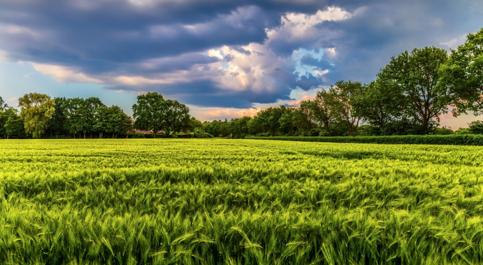 fot. Pixabay KOWR wydzierżawia ziemię tylko sąsiadom?