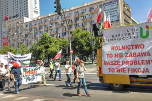 Walka o polski rynek dla polskiego rolnika i konsumenta - na ulicach Warszawy