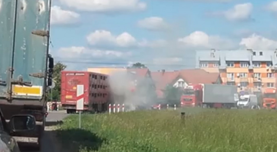 Zapalił się samochód przewożący trzodę chlewną fot. Screen z relacji live na Facebooku (Nasz Mazur) Zapaliła się ciężarówka przewożąca świnie