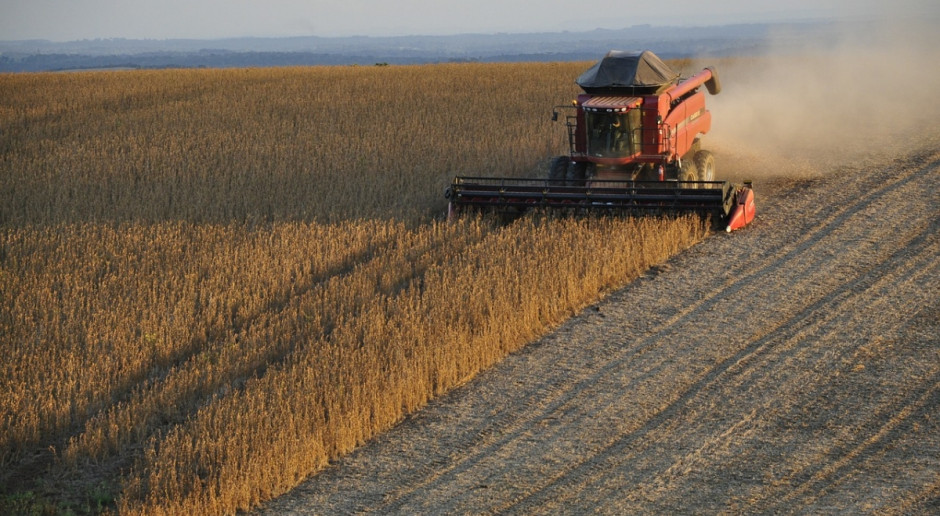 Fot. pixabay.com IGC: Mniejsza prognoza produkcji soi w sezonie 2017/2018