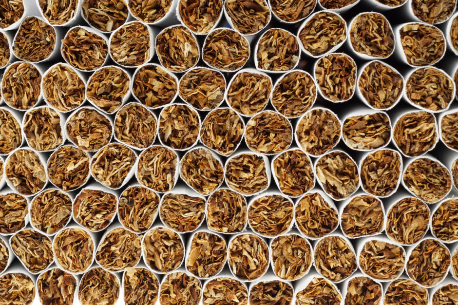 CBŚP: służby przejęły 32 tony tytoniu i 324 krzewy konopi fot. Shutterstock